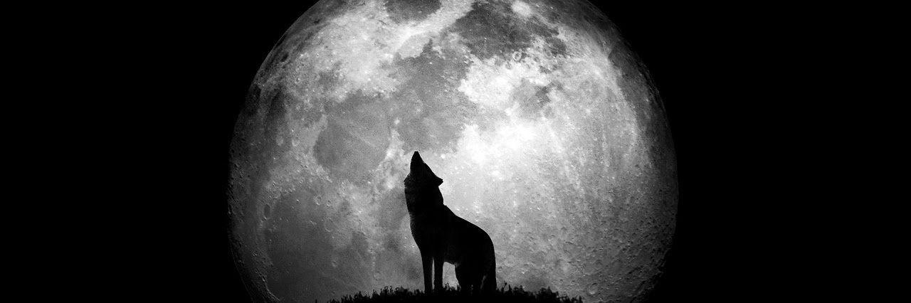 HalleyRequena's profile banner image