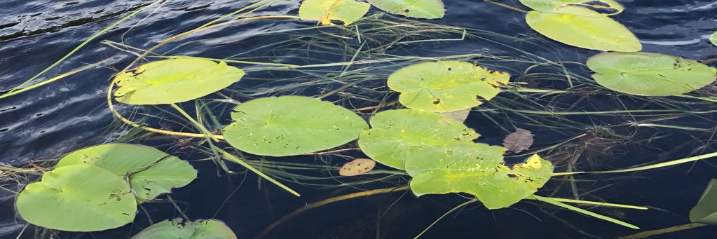 Don Pinkerton banner