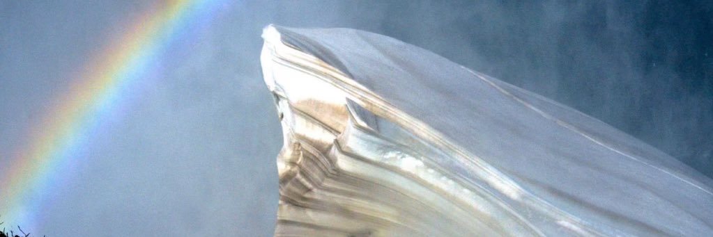 Ballistic_Ninja's profile banner image