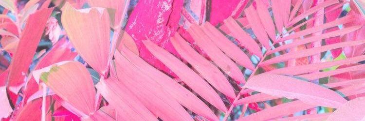 fernandazunigaf's profile banner image