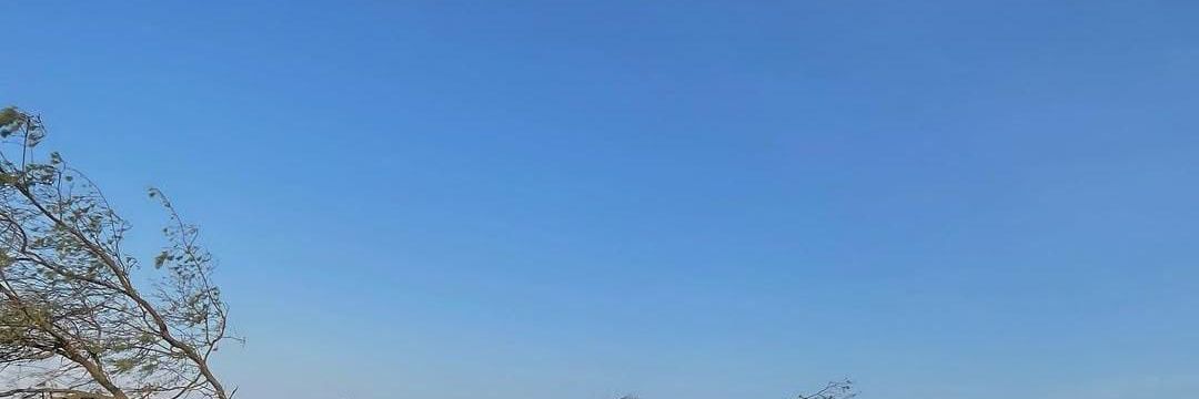 mmmm banner
