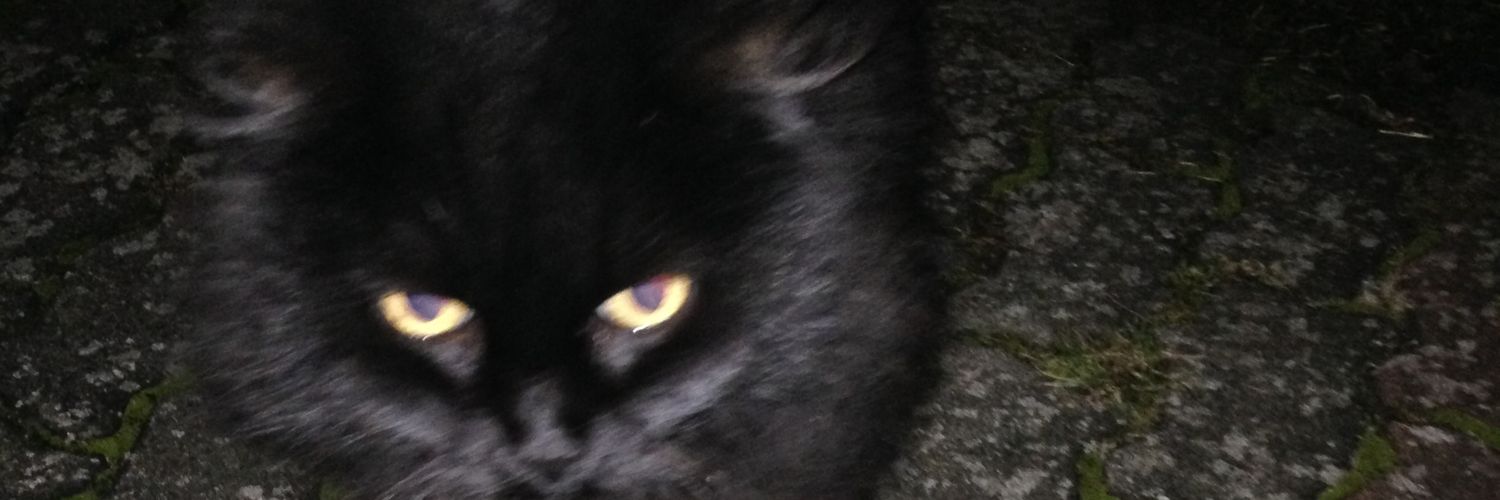 Salih Özcan 🇹🇷🕋 banner