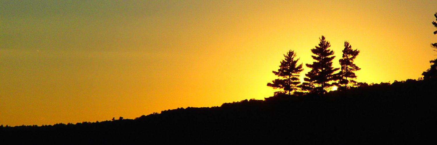 LeelaDoc's profile banner image