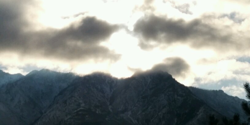 Nicholas R. Jenkins banner