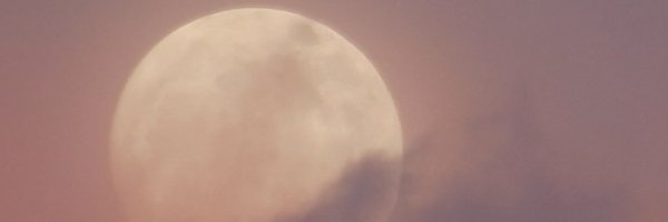 neocurio1 Profile Banner