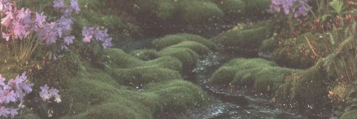 &Natalie~Brian’s Artist ☁️🌸 banner