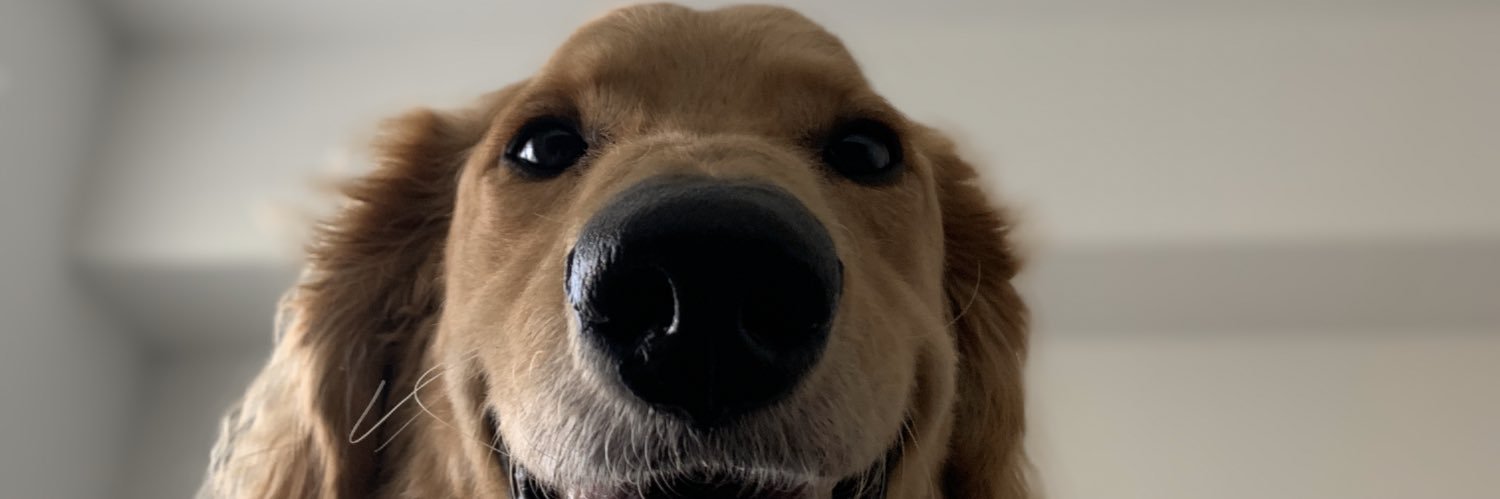 kladsso's profile banner image