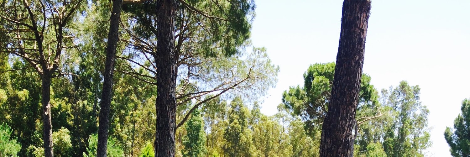 Halima_Batal's profile banner image