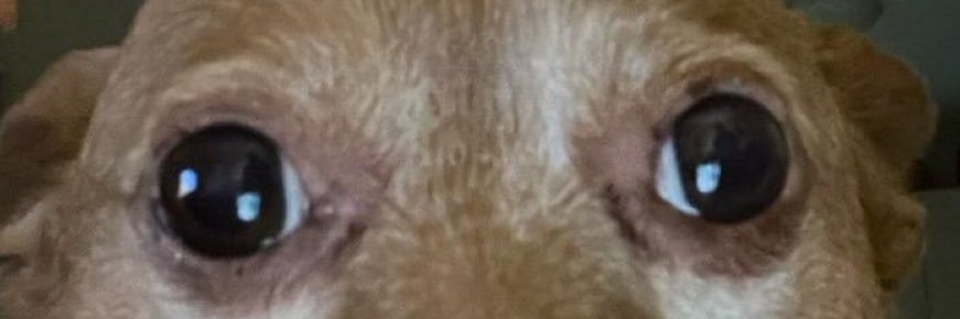 💥toutEstClair💥 banner
