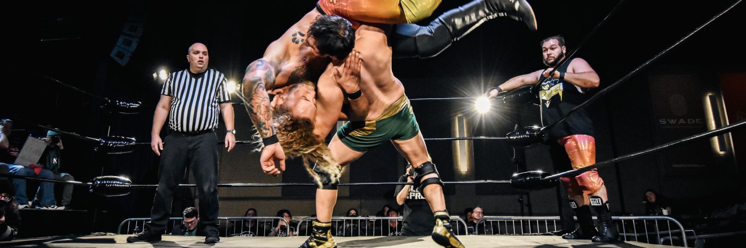 FluffyInsomnia banner