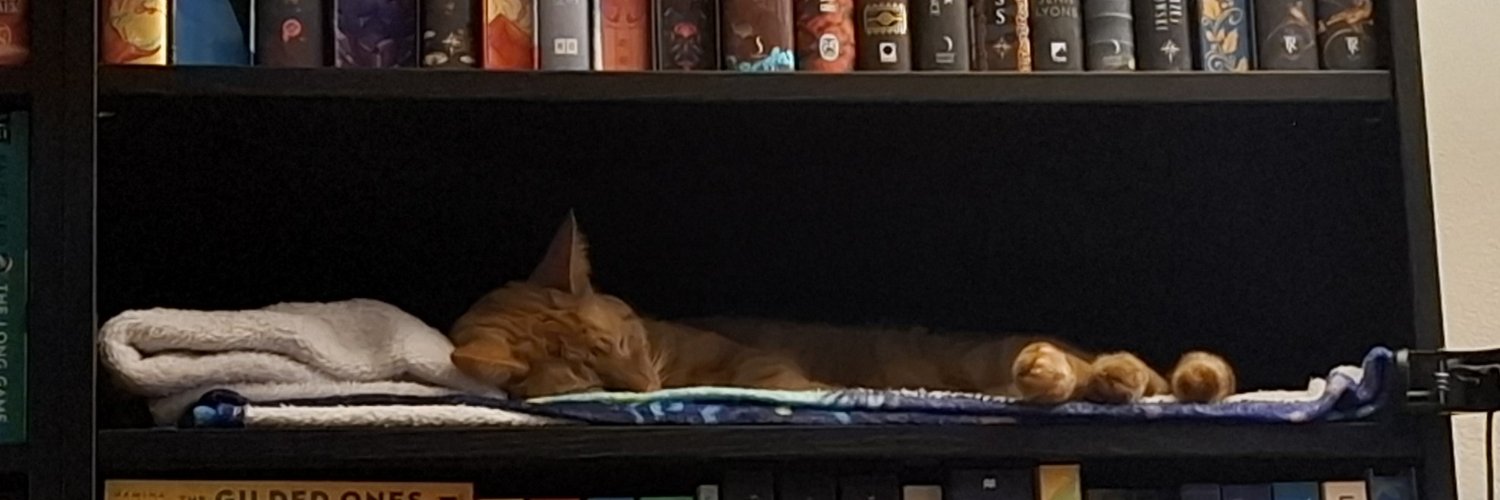 ShaylaPerras's profile banner image