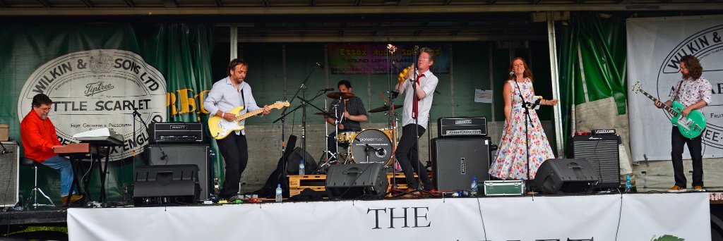 Jeanette Lynes banner