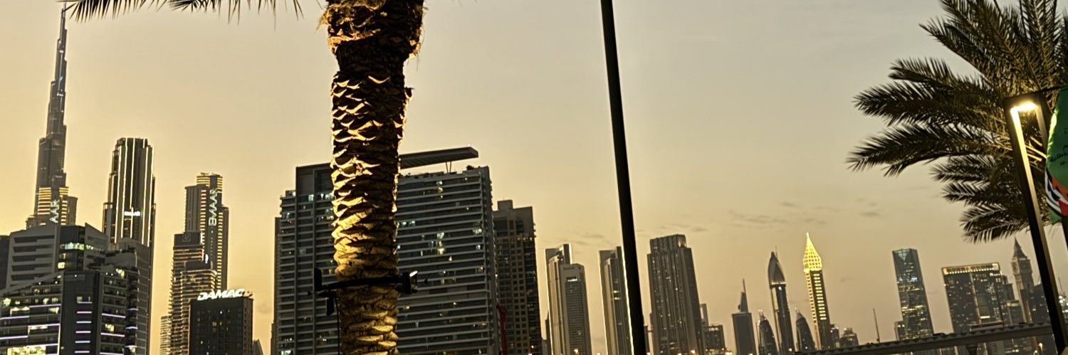 llswafll's profile banner image