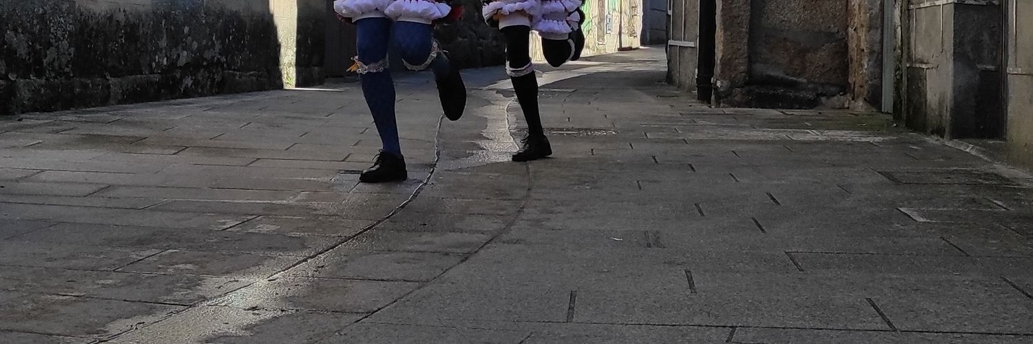 Entroido Verin banner