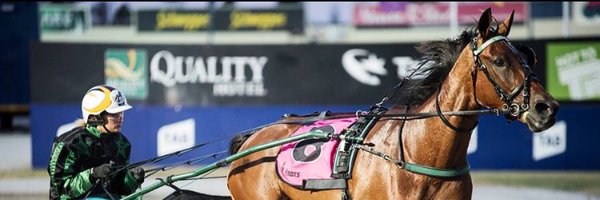 EllenTormey Profile Banner