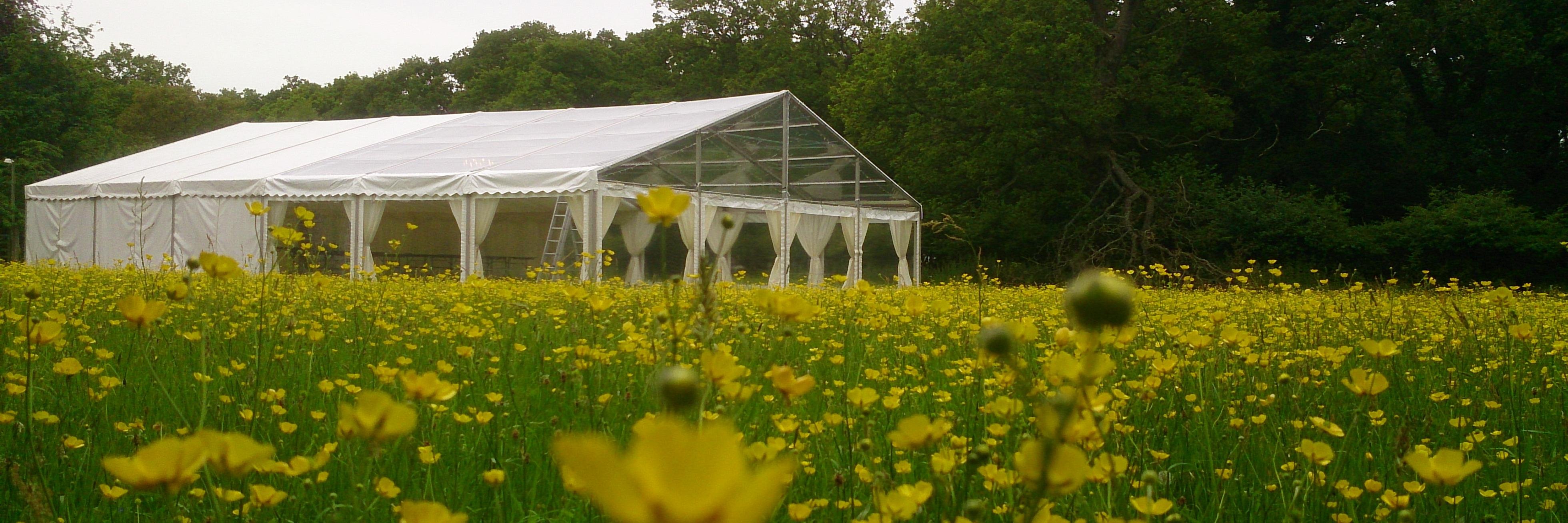 TLMarqueeHire's profile banner image