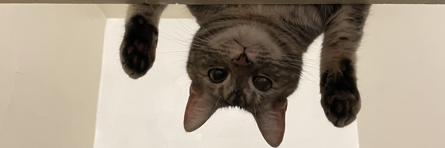 SQUIIIIIIIIlIID's profile banner image