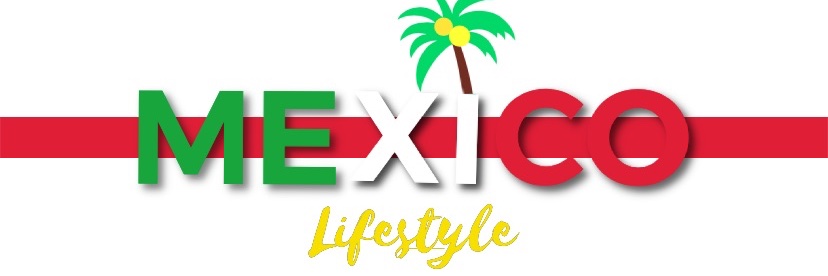 MLDMV_LLC's profile banner image