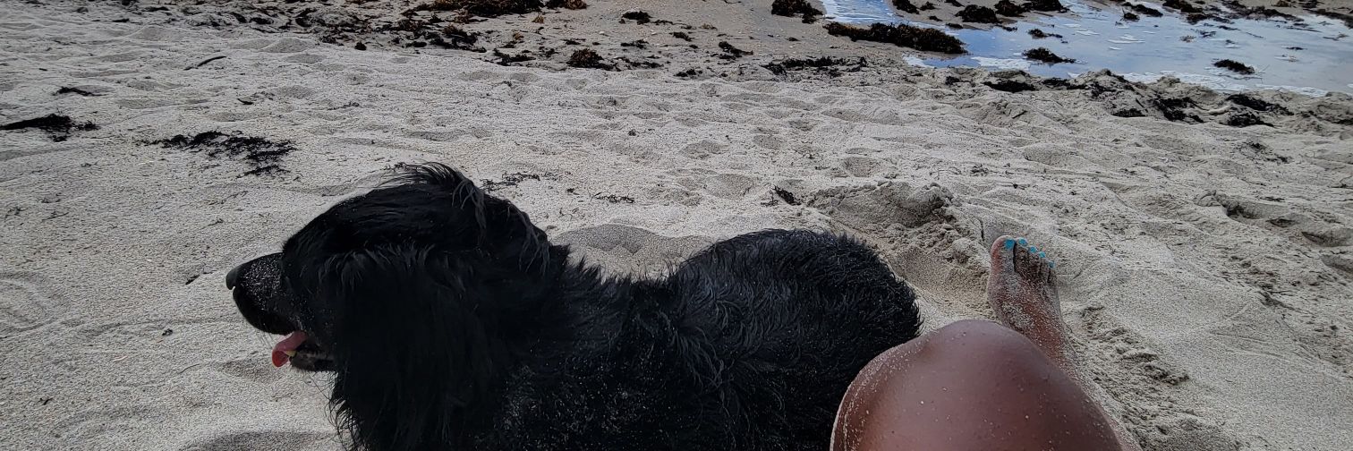 My name is Demarco Fleming GET WITH THE PROGRAM banner