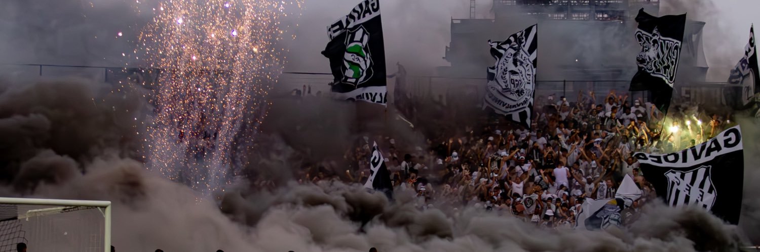 natan🌪️🦅 banner