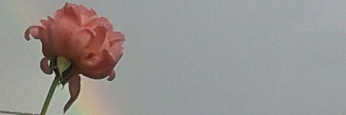 13Laura5's profile banner image