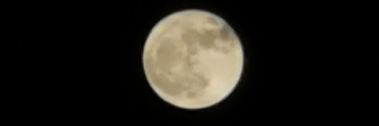 meopo18's profile banner image