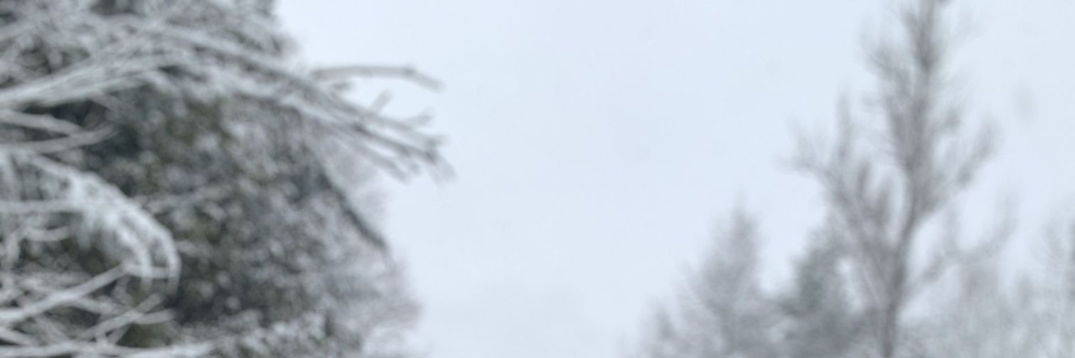 bevonjamesking's profile banner image