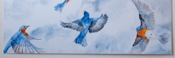 dmatt67's profile banner image