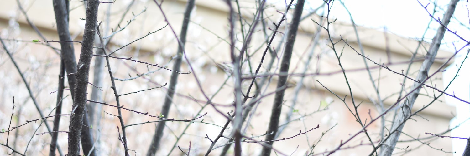 attiyabfarooq's profile banner image