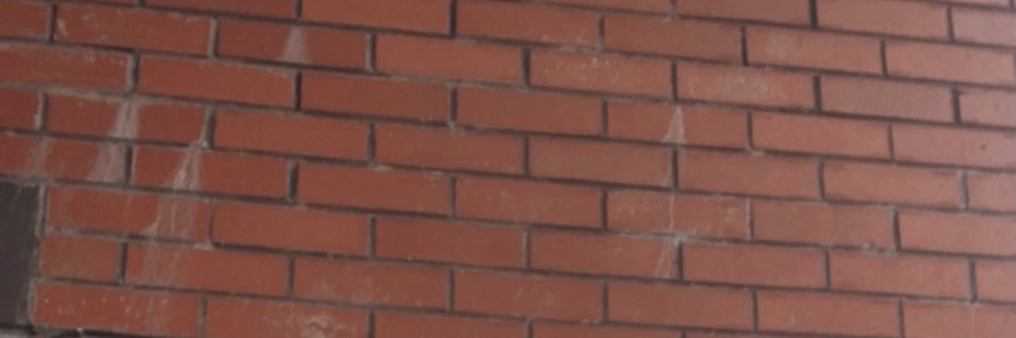 Müge Mıhcı banner