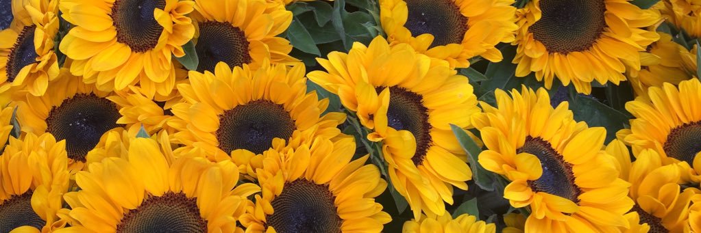 beecoe22's profile banner image