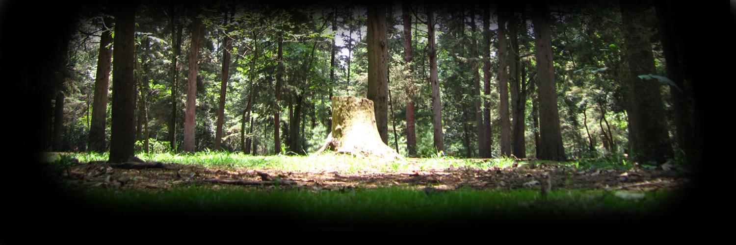NoSoyLaViris's profile banner image