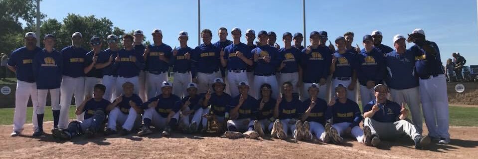 Birch Run Baseball banner