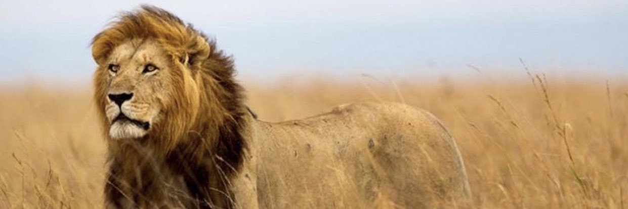 redmanlorentzen's profile banner image