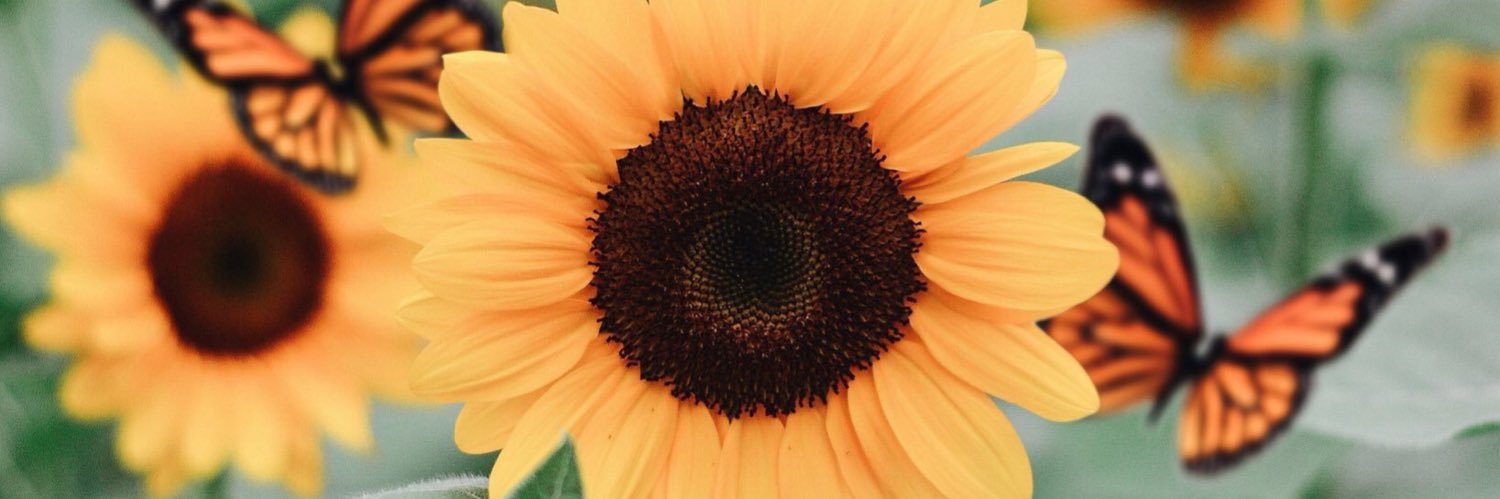 JennnJennn__'s profile banner image