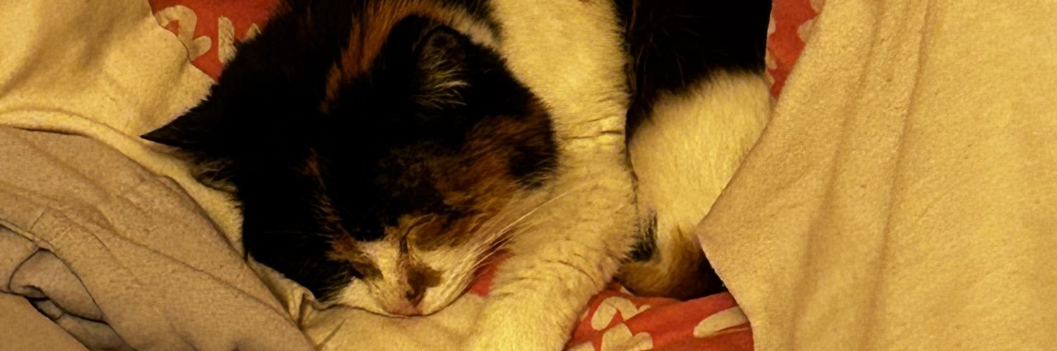 anadorablepanda's profile banner image