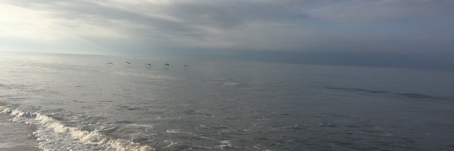 Mar_rdz's profile banner image