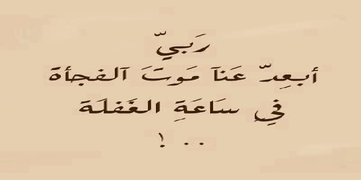 shahd banner