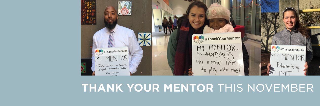 MENTOR Illinois banner
