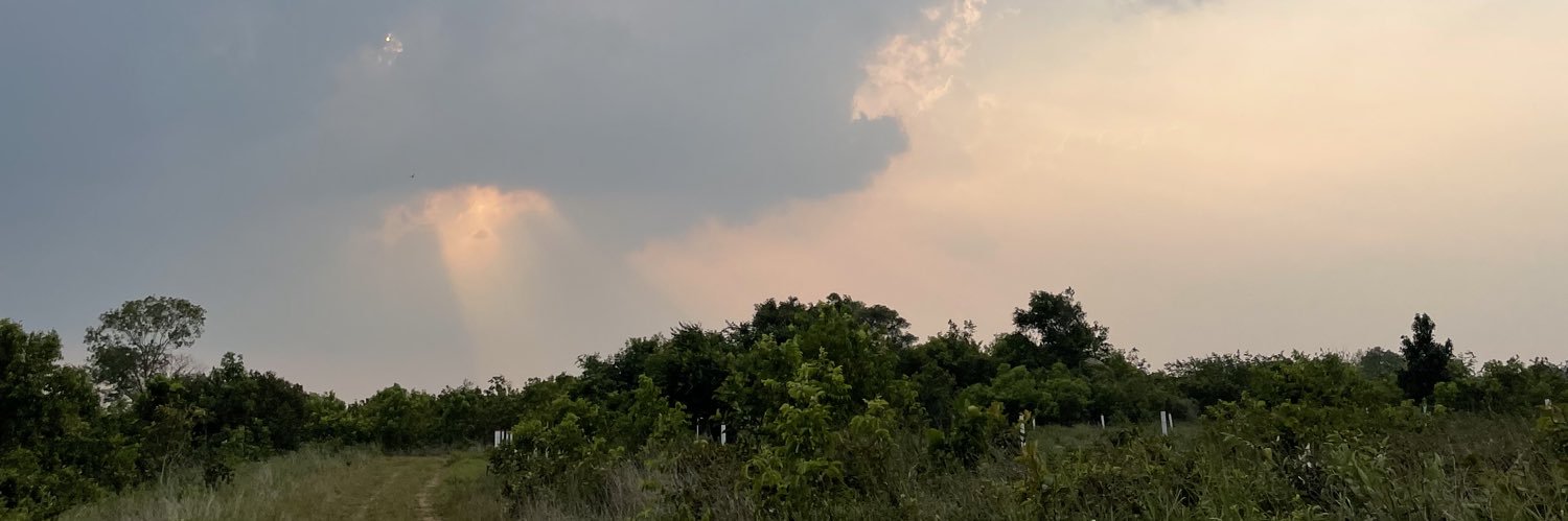 DanielaBbla's profile banner image