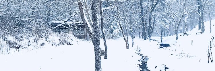 4loveofwisdom's profile banner image