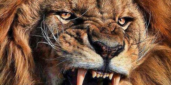 EduRodriguez15's profile banner image