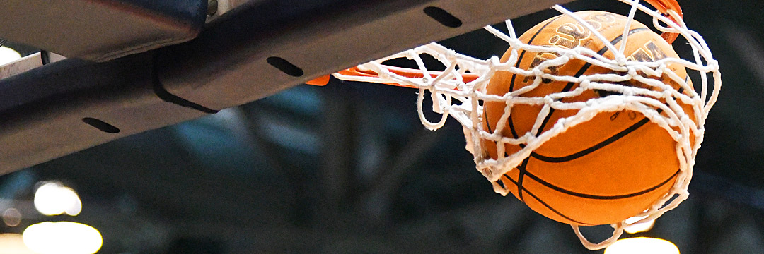 Joe Alexander banner