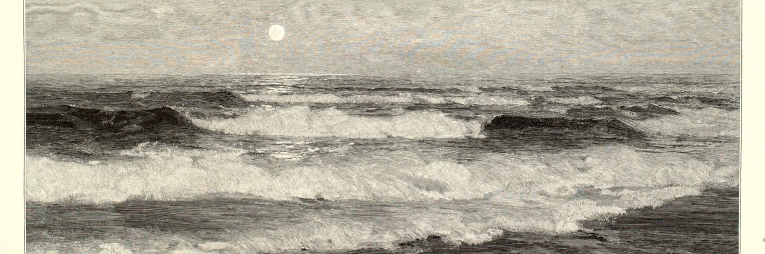 The New Inquiry banner