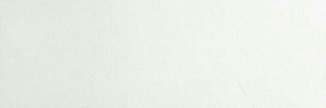 พริ้ว banner
