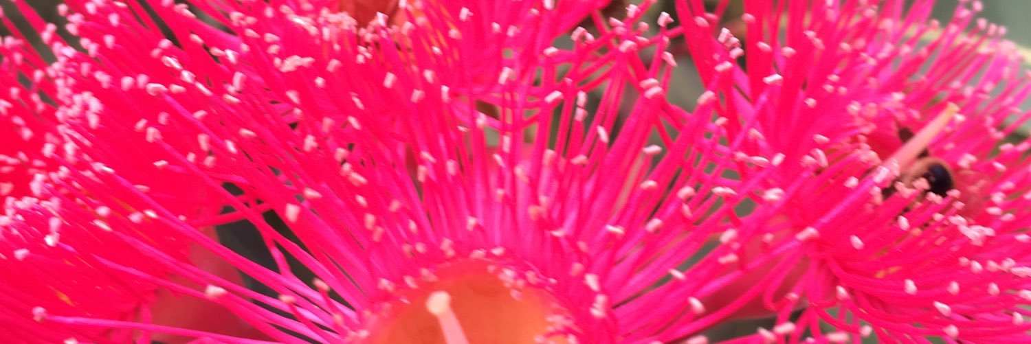 JaxCoates's profile banner image