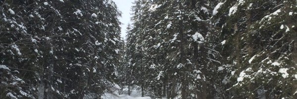 JeriRoys Profile Banner