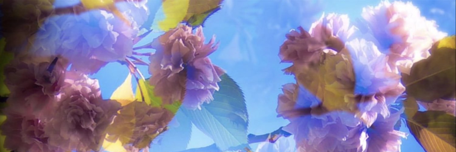 seRina____'s profile banner image