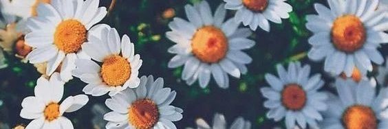 JupiiterDrops's profile banner image