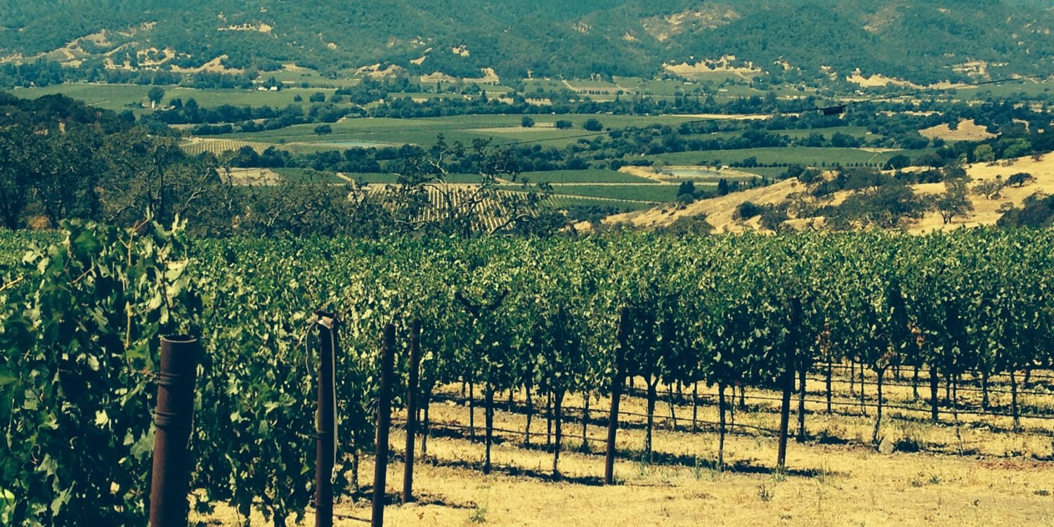 v12wines's profile banner image